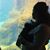 Andrea Mabbott's profile image