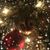 Sagrario Mendez's profile image