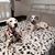 Donna Tarman's profile image