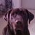 John Rogers's profile image