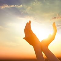 Bree Wright's profile image