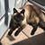 Terri Pontz's profile image
