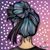 Frances Perez's profile image