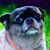Lisa Eldridge's profile image