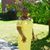 Yulanda Brooks's profile image
