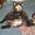 Yvonne Stevens's profile image