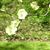 Pam Muehling's profile image