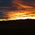 Cyndi Boerger's profile image