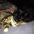 Katrina Marie Hartline's profile image