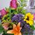 Rhonda Laughlin's profile image