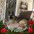 Kathy Rosas's profile image