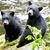 MaryAnn Moody's profile image