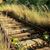 Kathy Schneider Lestina's profile image