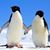 Valerie Anne Ohler's profile image