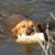 Kevin Brashear's profile image