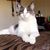 Kalley Napier's profile image