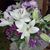 Hilda Fitch's profile image