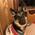 Steven Sobon's profile image