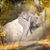 Stephanie Fileccia's profile image
