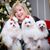 Rhonda Gillespie Floyd's profile image