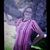 Christina Basile Yellowhorse's profile image