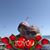 Karla Bradley's profile image