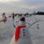 Susan Barnhardt Dinse's profile image