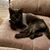 Tracy Maloy's profile image