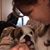 Amy Grubb's profile image