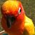T.s. Handler's profile image