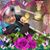 Robin Marie Ford's profile image