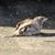 Dawn Anderson's profile image