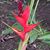 Karen Patt Sachse's profile image
