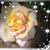 Darleen Poston Novinger's profile image