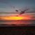 Donna Hoagland's profile image