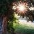 Mt Adams Chamber's profile image
