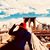 Araceli Montalvo's profile image