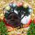 Nolalee Irving's profile image