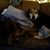 Sherie Davis's profile image