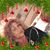 Antonia Martinez's profile image