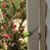 Jenniffer Neault's profile image