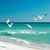 Aline Mirus's profile image