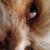 Shellee Walther's profile image