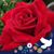 Cori Pabst's profile image
