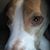 Cathy DeLorme Zimmermann's profile image