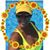 Dorothy Brewster's profile image
