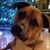Cheryl Aloi's profile image