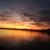 Amy Klemp-Haen's profile image