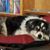 Maggie Hamelin's profile image