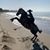 Petra Van De Hey's profile image